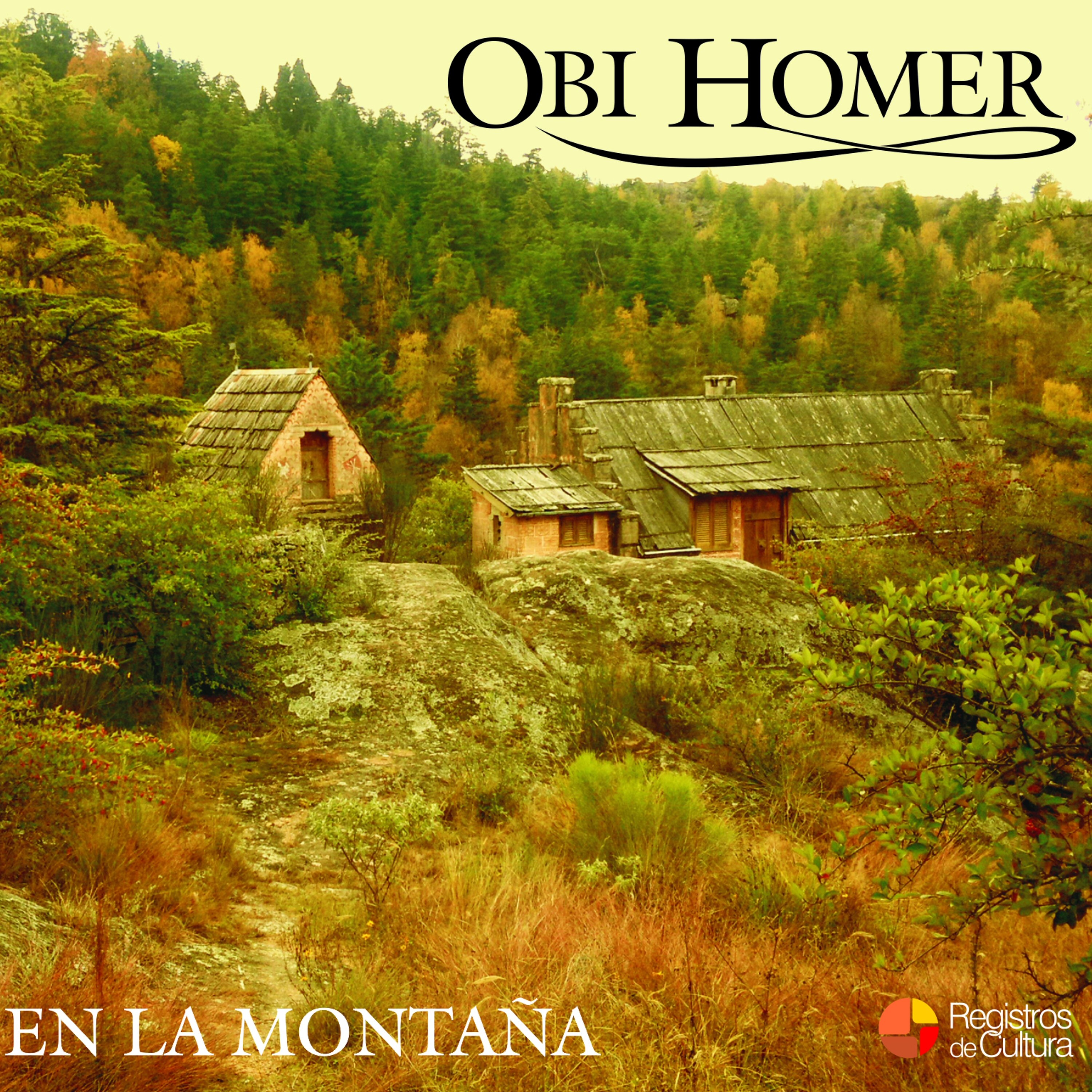 Tapa de Obi Homer — En la montaña